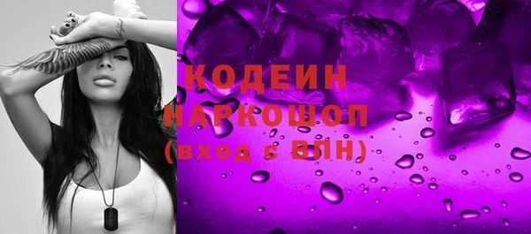 индика Алзамай