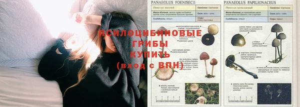 соль ск Армянск