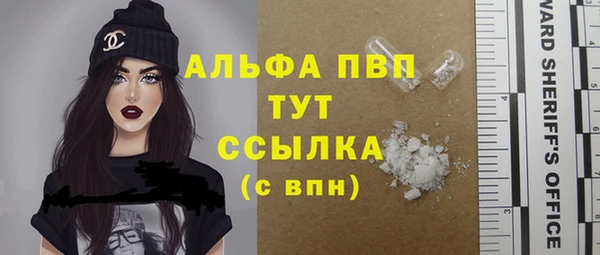 спайс Арсеньев
