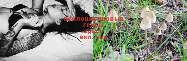 спайс Арсеньев