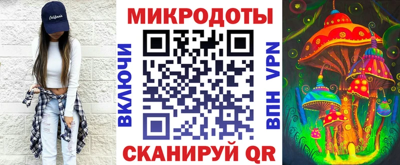 где купить   Лахденпохья  Галлюциногенные грибы Psilocybine cubensis 